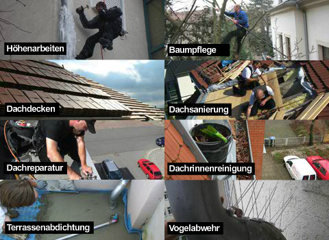 Höhenarbeiten, Baumpflege, Dachdecken, Dachsanierung, Dachreparatur, Dachrinnenreinigung, Terassenabdichtung, Vogelabwehr.