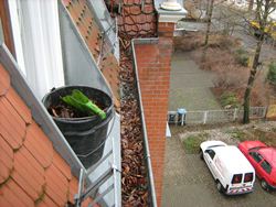Dachrinnenreinigung_02
