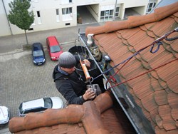 Vogelabwehr_03